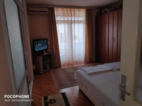 Apartment Viktoria